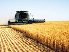 Algérie Autonomie Céréalière : Une Stratégie d’Importation de Blé et de Renforcement de la Production Locale